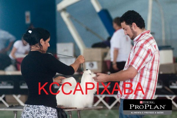 Clique sobre a foto para fechar